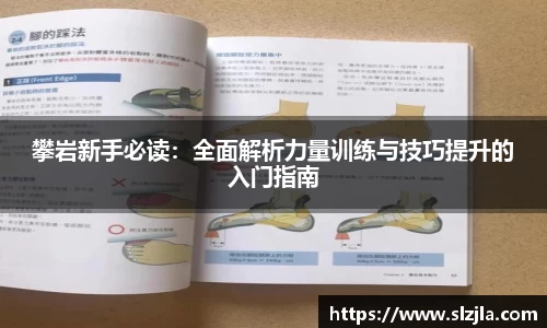zoty中欧官方网站